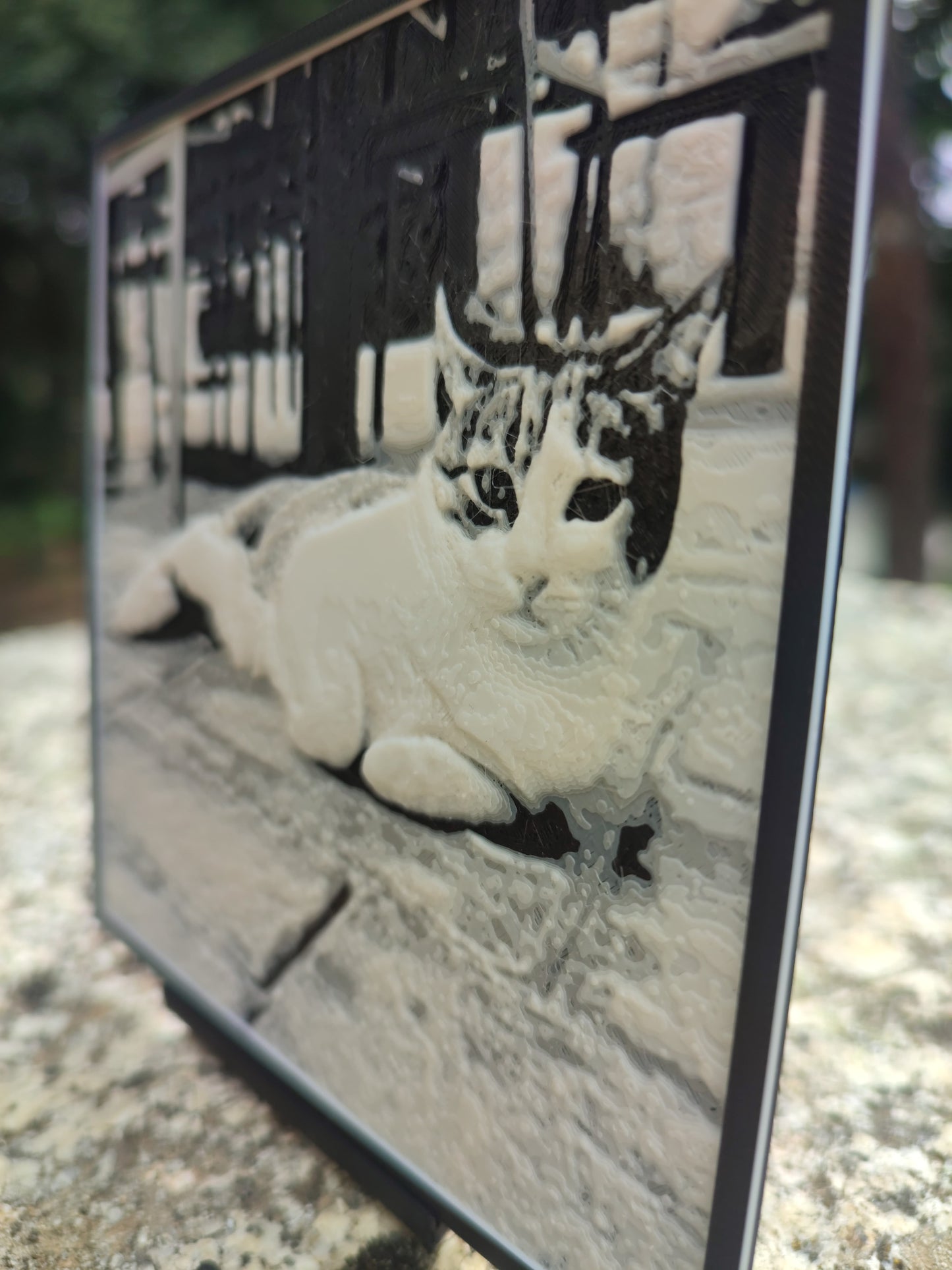 Cuadro personalizado en 3D