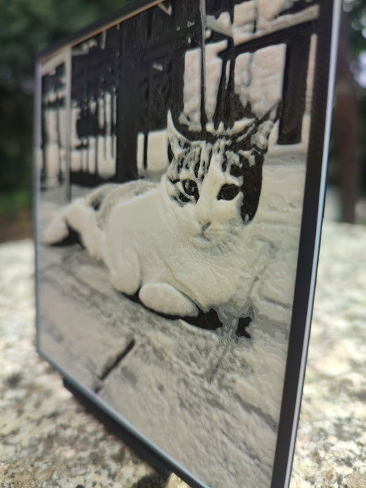 Cuadro personalizado en 3D